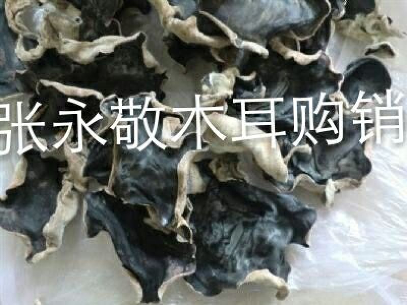 丰县木耳泡水多，肉厚，口感好
