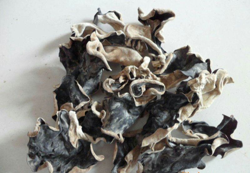 丰县木耳欢迎下单，欢迎来看货