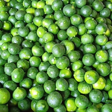 小青柑(茶果)