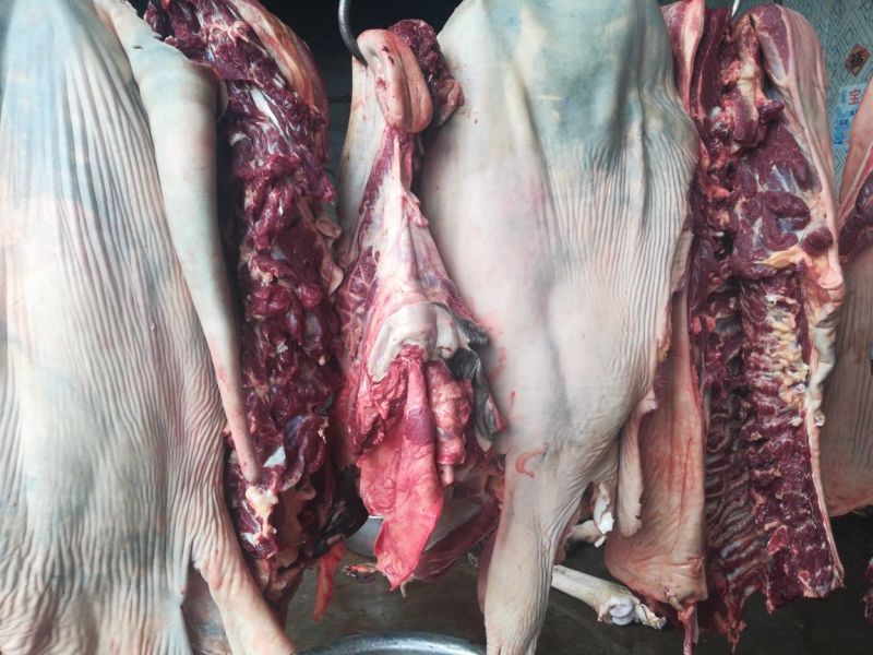驴肉批发山东驴肉带皮驴肉新鲜驴肉