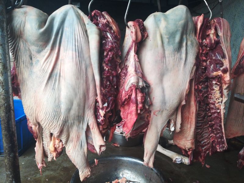 驴肉批发山东驴肉带皮驴肉新鲜驴肉