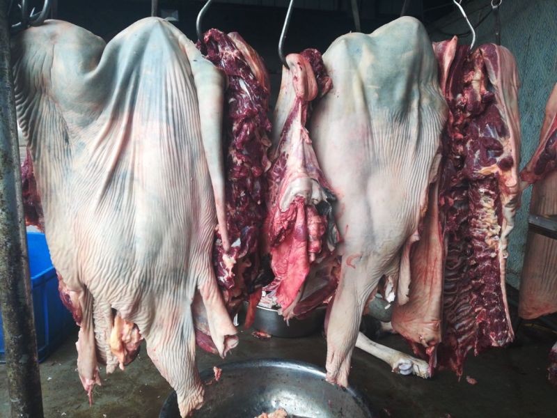 驴肉批发山东驴肉带皮驴肉新鲜驴肉
