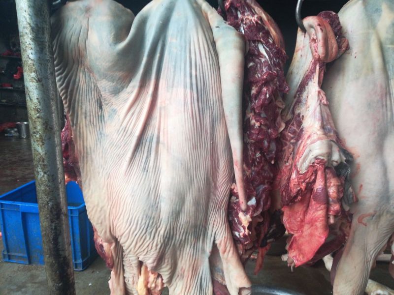 驴肉批发山东驴肉带皮驴肉新鲜驴肉