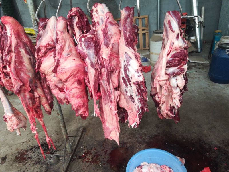 驴肉批发山东驴肉带皮驴肉新鲜驴肉