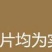 蒲公英叶野生蒲公英茶全国发货常年供应药材