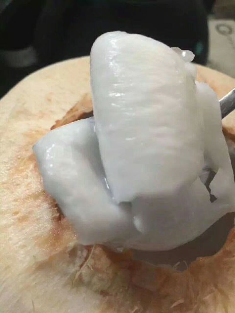 海南椰青九个装