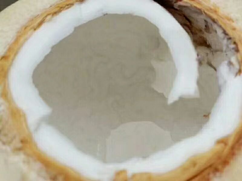 海南椰青九个装