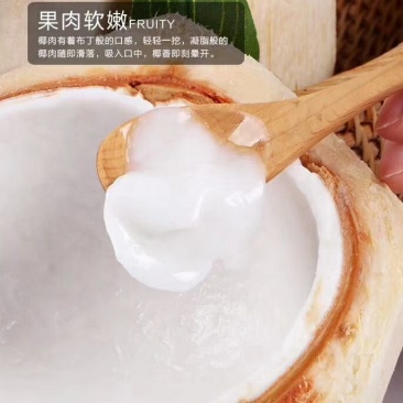 海南椰青