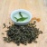 长白山野生暴马丁香茶