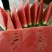 京欣西瓜，五斤打底，达到九成熟，沙瓤，