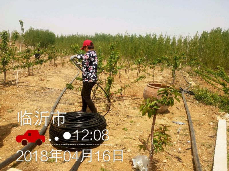 灌溉首部水肥一体化，过滤泥沙，漂浮物等杂质
