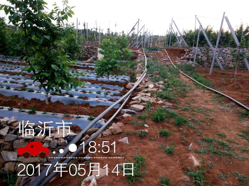 灌溉首部水肥一体化，过滤泥沙，漂浮物等杂质