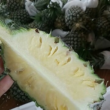精品菠萝大量批发
