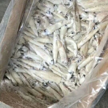 笔管