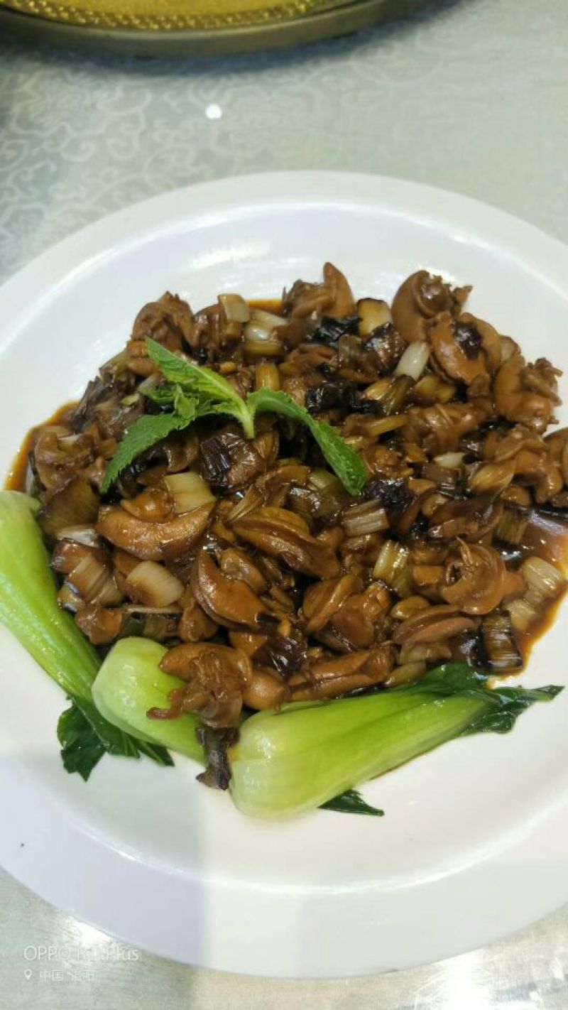 白玉蜗牛