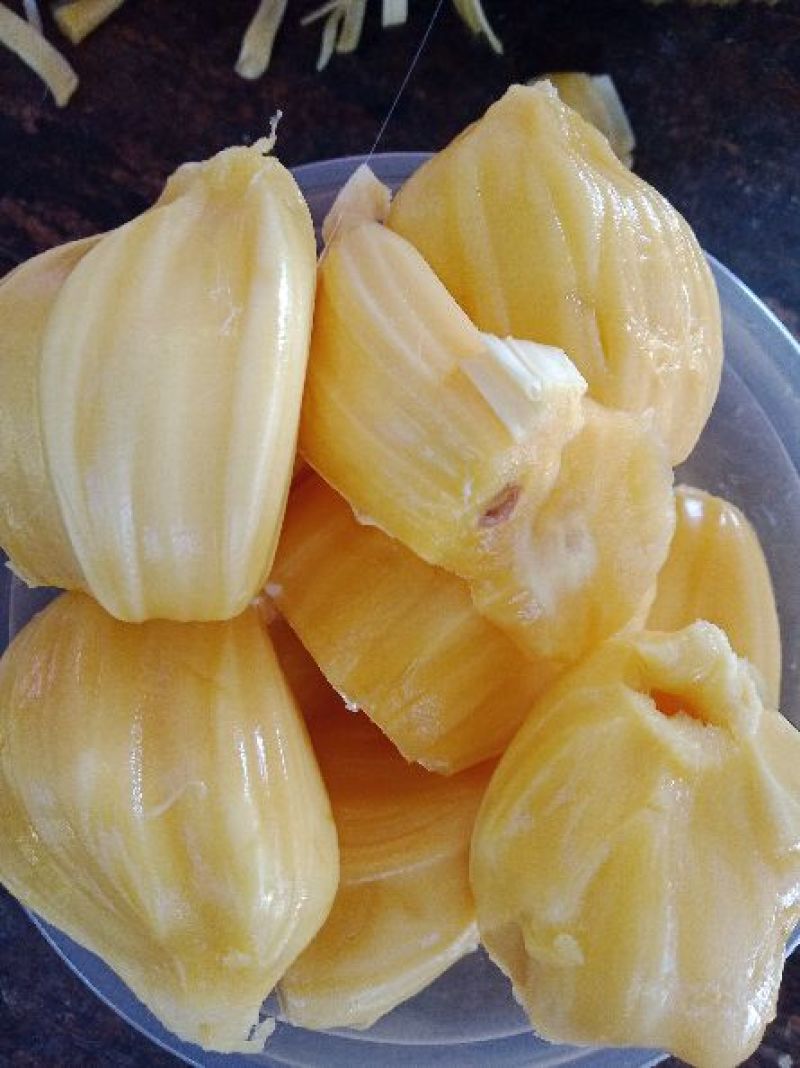 海南菠萝蜜