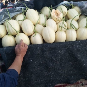 东方密