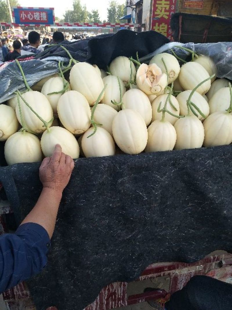 东方密