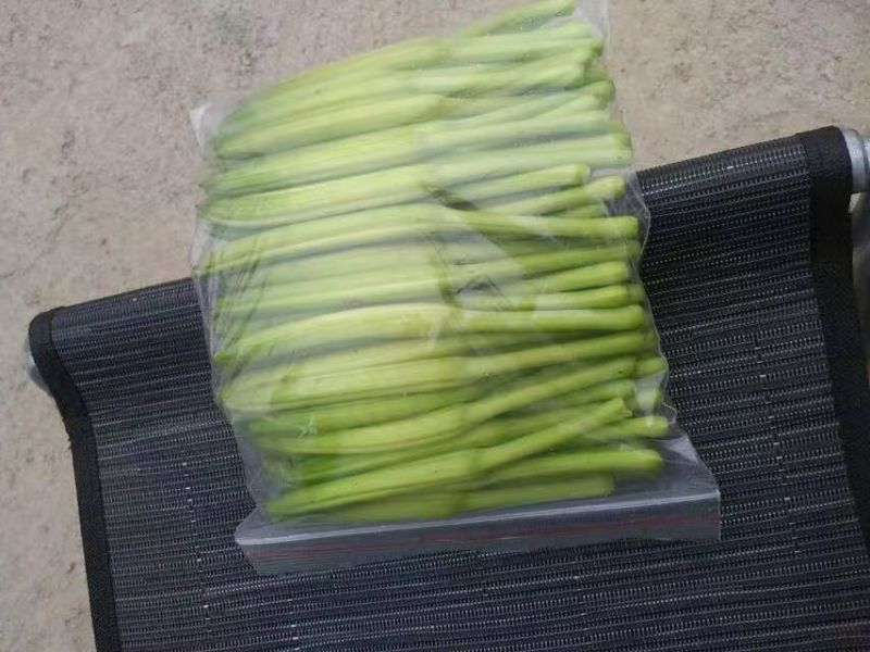 黄花菜