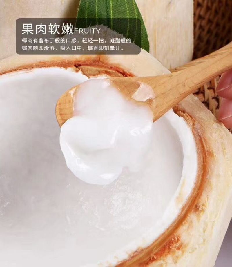 海南新鲜椰青