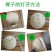 海南新鲜椰青