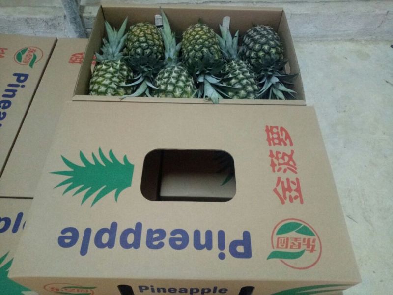 金菠萝