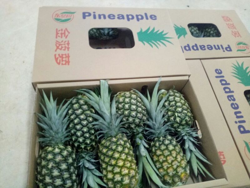 金菠萝