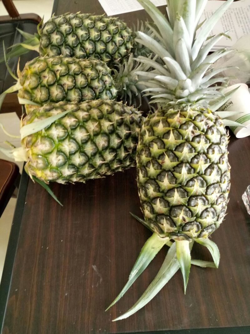 金菠萝