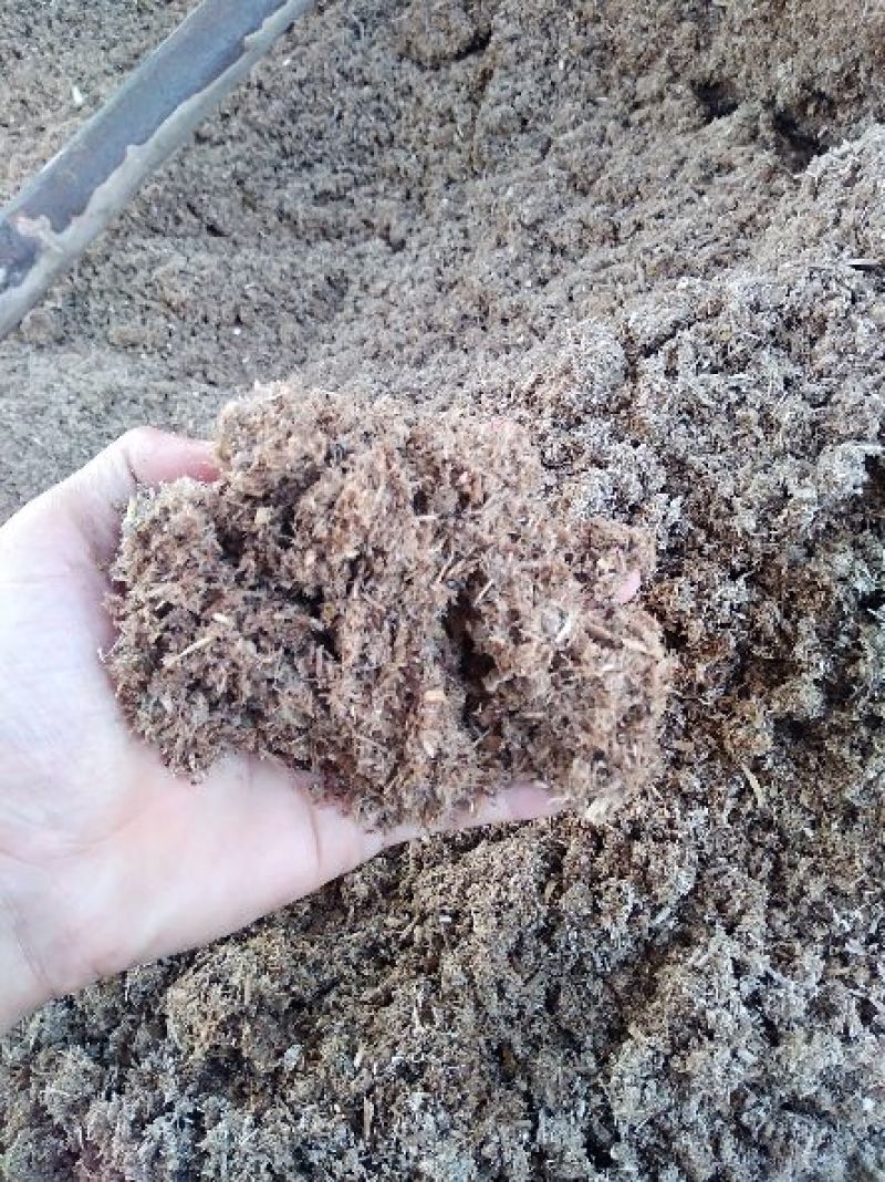 桉木渣可用于燃烧颗粒原材料