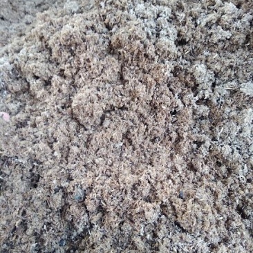 桉木渣可用于燃烧颗粒原材料