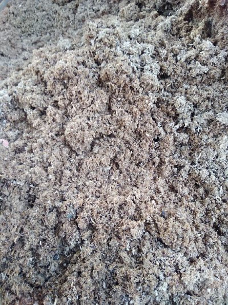 桉木渣可用于燃烧颗粒原材料