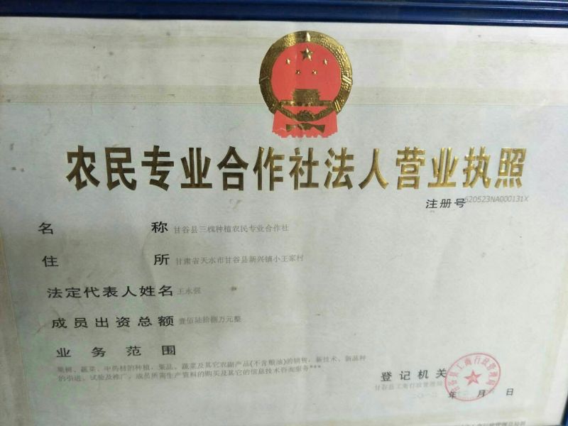 本地传统特色中药材种子～北柴胡种子