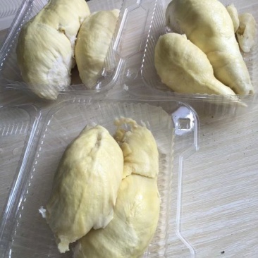 金枕头