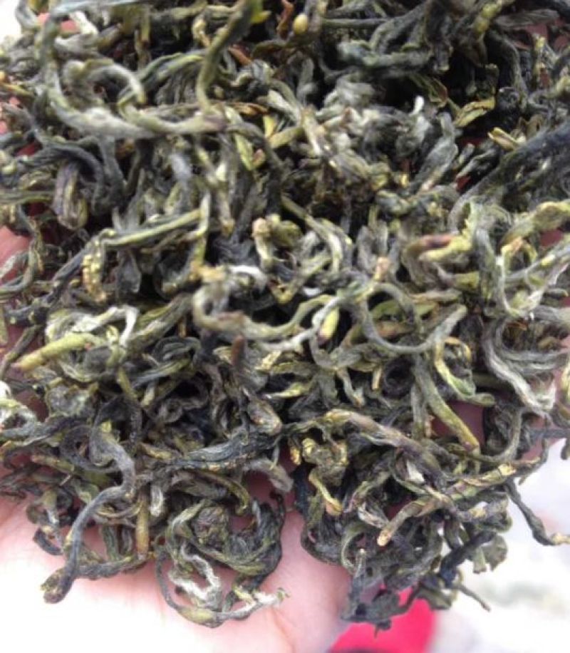 武功山野茶