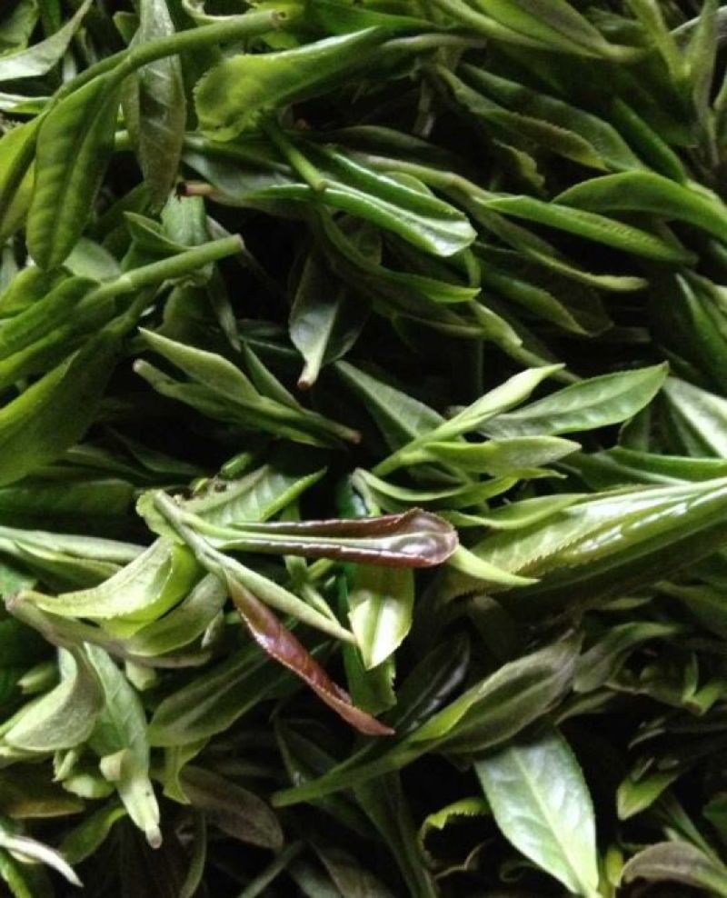 武功山野茶