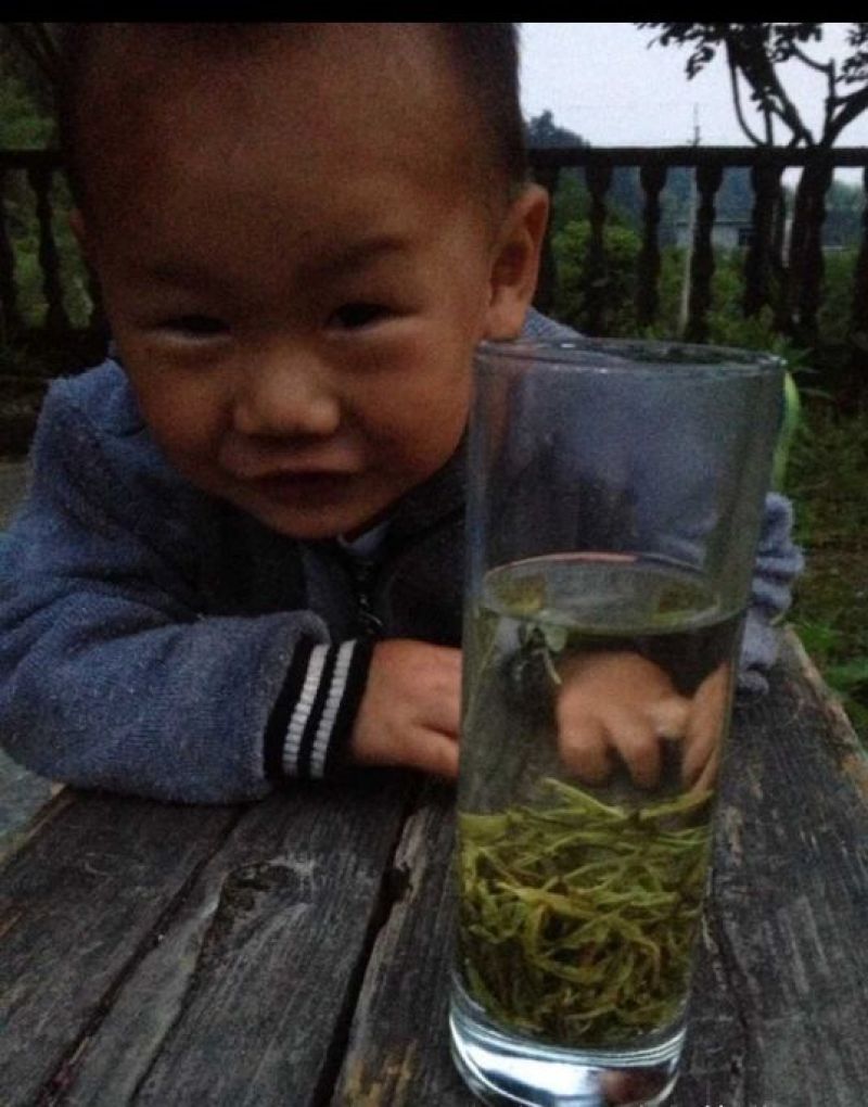 武功山野茶