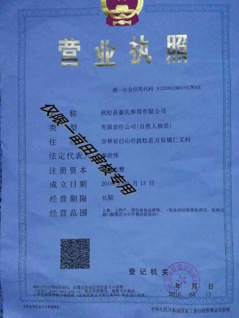 长白山野生蒲公英根蒲公英大根中根小根包邮