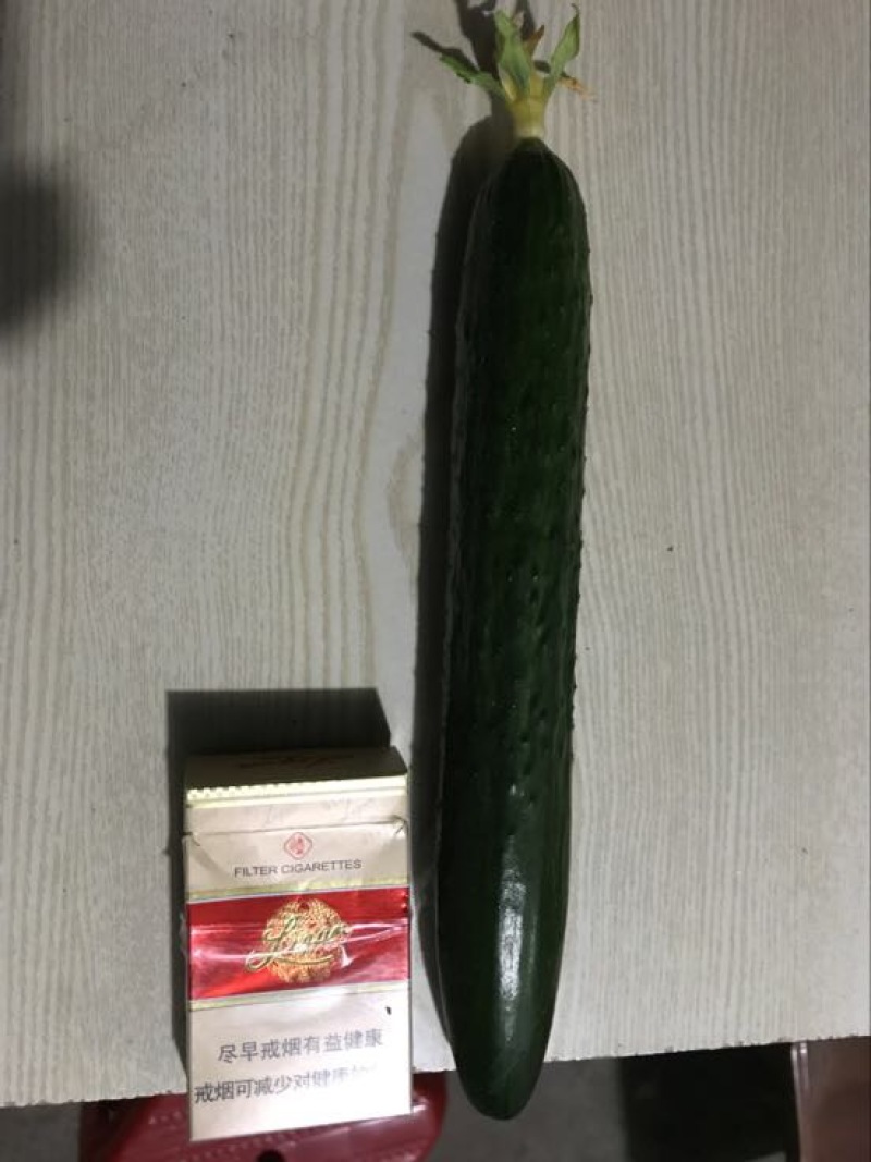 密刺黄瓜18~22公分鲜花带刺