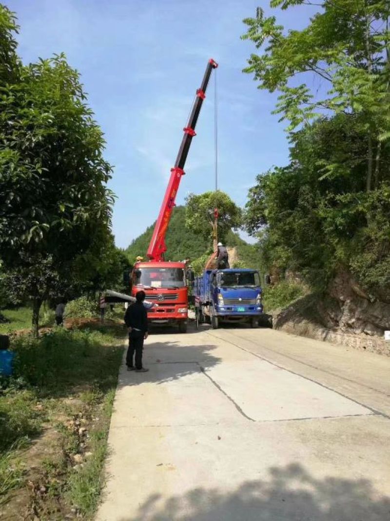 吊车