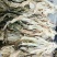 盐菜，揪耳菜50斤/件（开汤，炒）