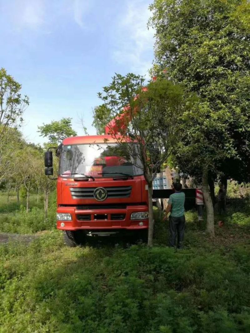 吊车