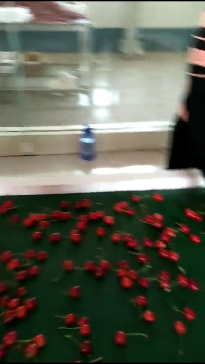 烟台露地大樱桃开卖了！！！
