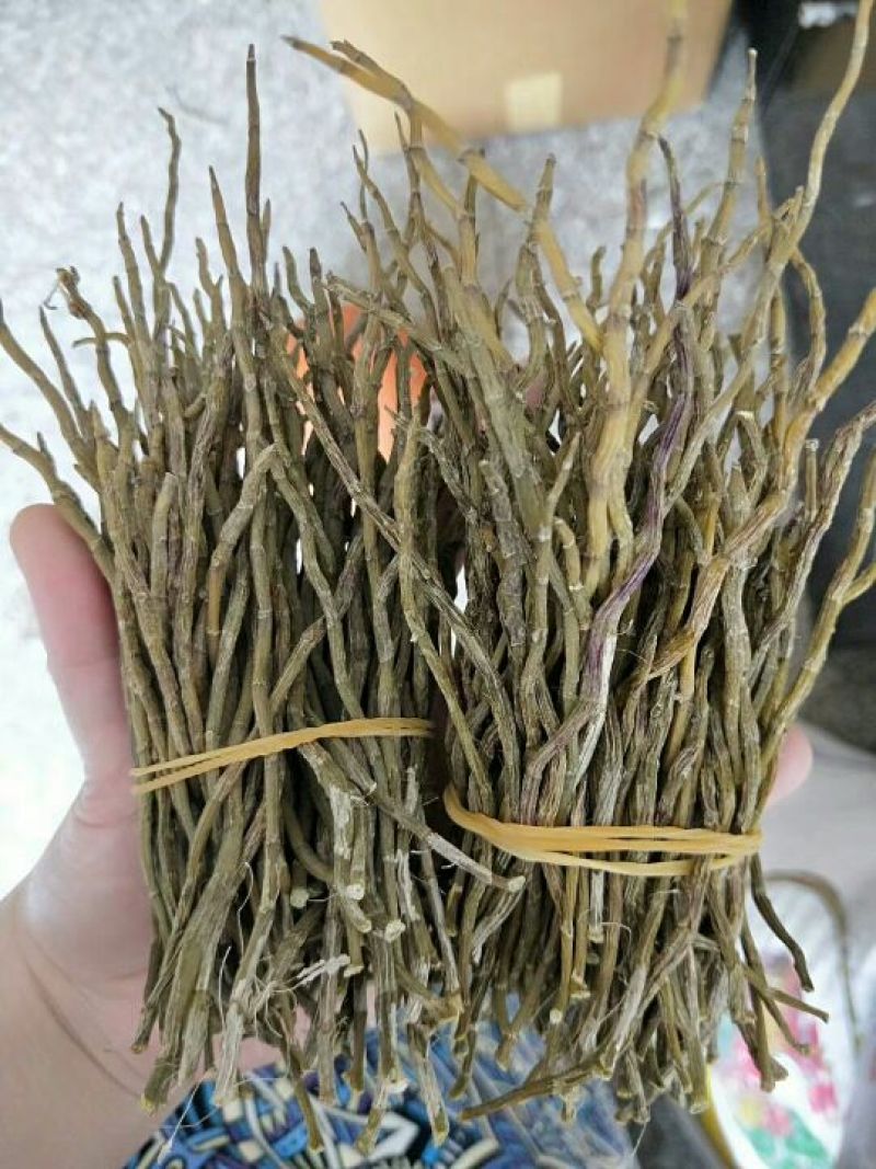 铁皮枫斗雁荡山铁皮石斛烤干条