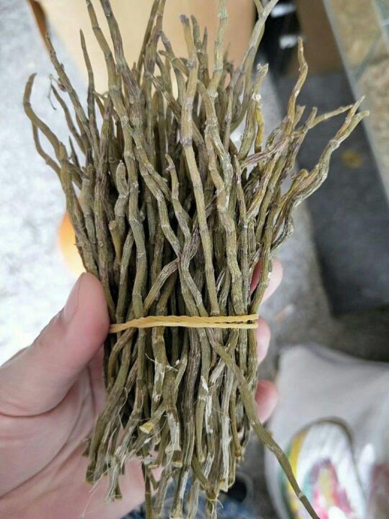 铁皮枫斗雁荡山铁皮石斛烤干条