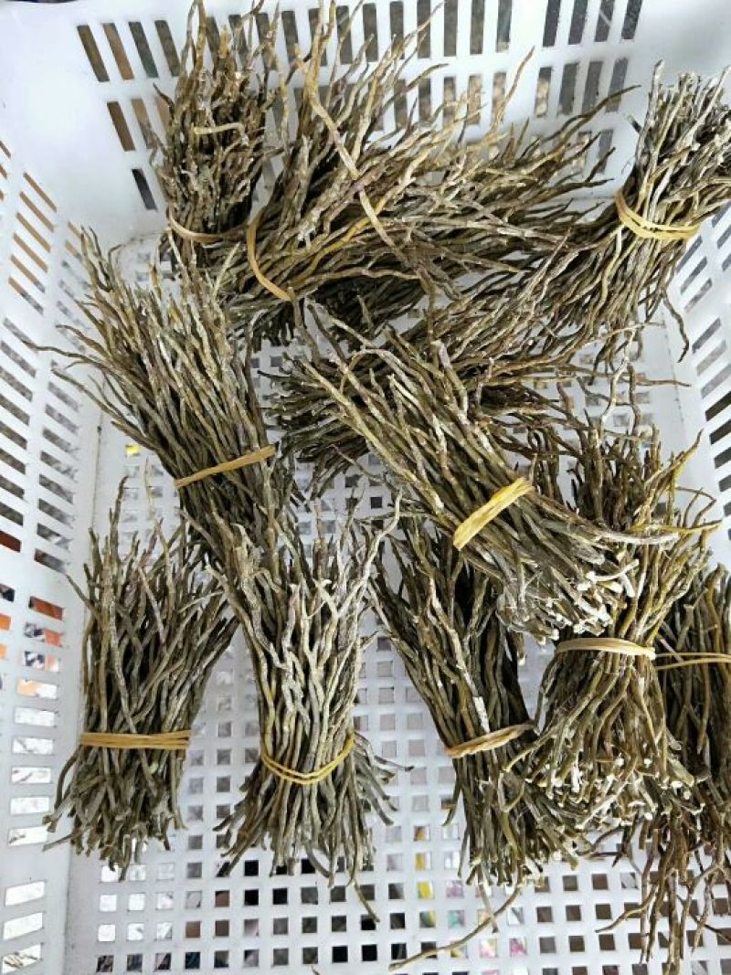 铁皮枫斗雁荡山铁皮石斛烤干条