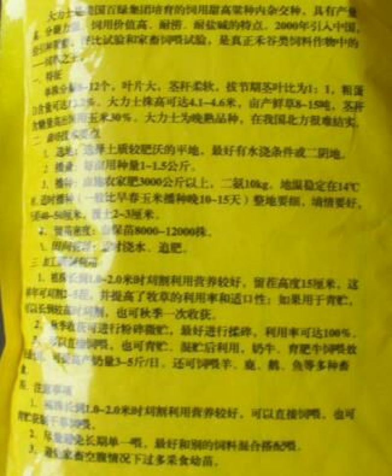 大力士甜高粱种子