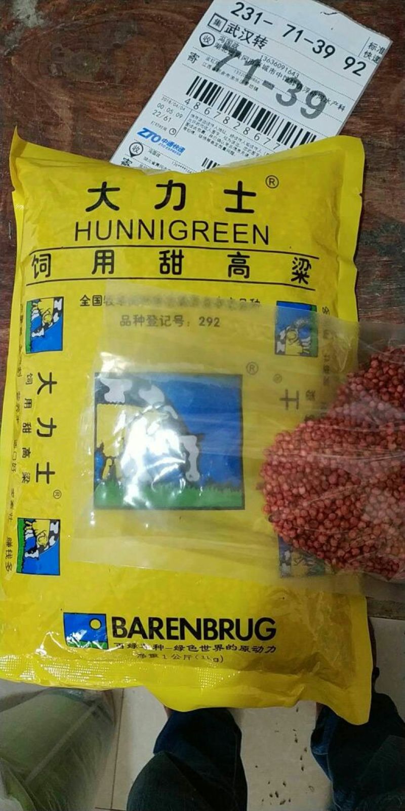 大力士甜高粱种子