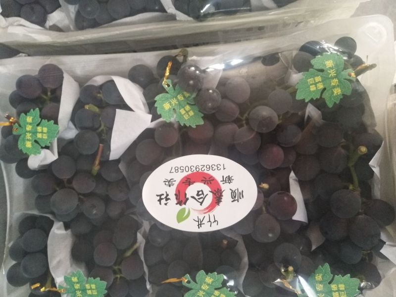 巨峰葡萄