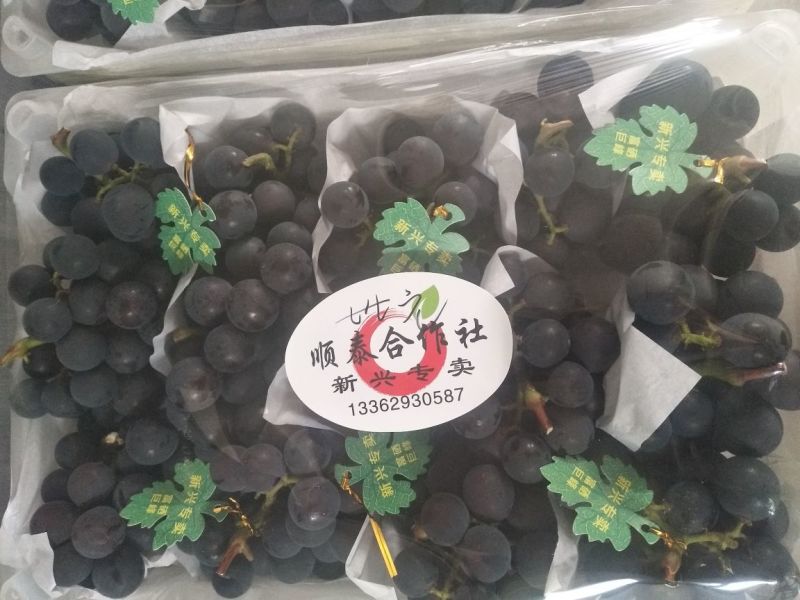 巨峰葡萄