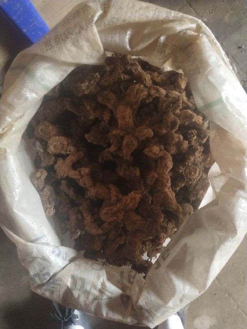 黄精干个子